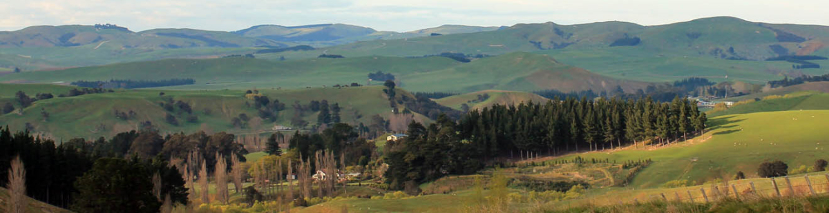 Flemington School Panarama